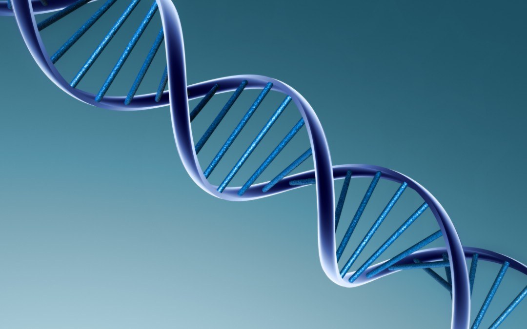 PREMIUM CONTENT: The Alzheimer’s Gene Puzzle – Genetic Links To Late Onset Alzheimer’s Disease (Part 1)