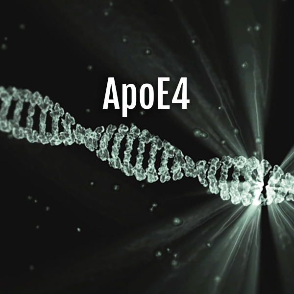 MEMBER ACCESS: The ApoE4 Genetic Variant As A Risk Factor For Late-Onset Alzheimer’s Disease