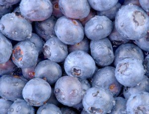 Close up of blueberries clustered together