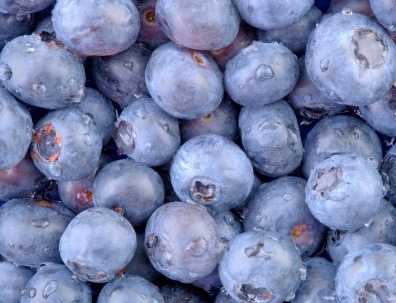 MEMBER ACCESS: Blueberry Polyphenols Protect the Brain from the Degenerative Processes Associated with Brain Aging and Alzheimer’s Disease