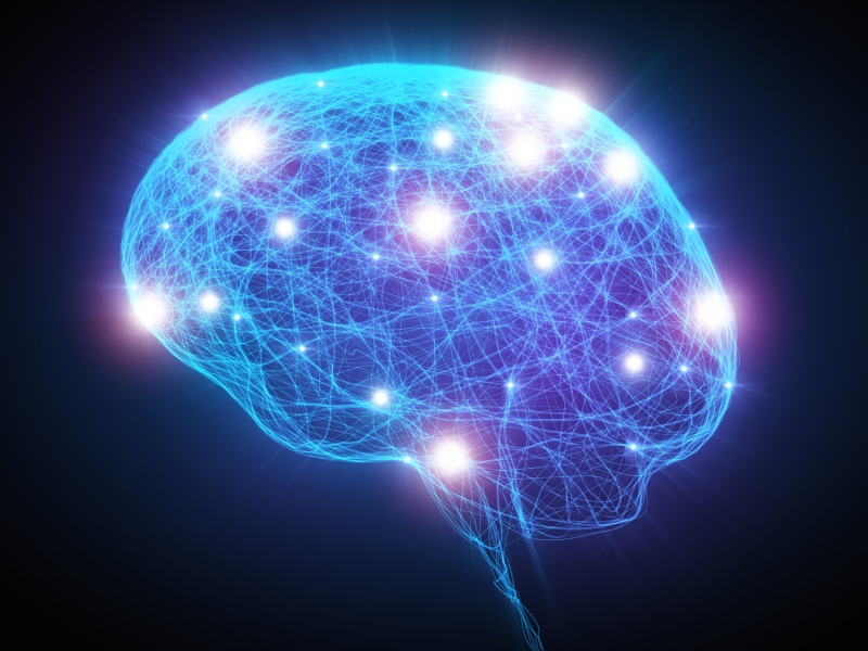 #13 Glucose Hypometabolism, Impairments in Mitochondrial Function, and Oxidative Stress as Major Risk Factors for Alzheimer’s Disease