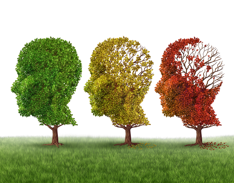 #3 Insights into the Genesis of Early-Onset and Late-Onset Alzheimer’s Disease in Aging