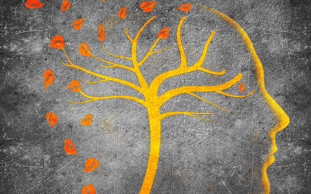 #12 DHEA, Pregnenolone, and the DHEA to Cortisol Ratio in Longevity Wellness and the Protection and Optimization of Cognitive Function