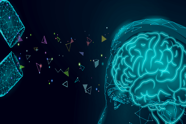 #15—Medical Foods and Nutraceuticals That Optimize Cognitive Function and Reduce the Risk for Late-Onset Alzheimer’s Disease