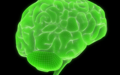 A Broccoli Brain Nurtures and Protects Your Brain from Dementia