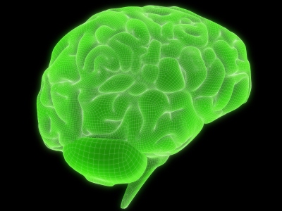 A Broccoli Brain Nurtures and Protects Your Brain from Dementia