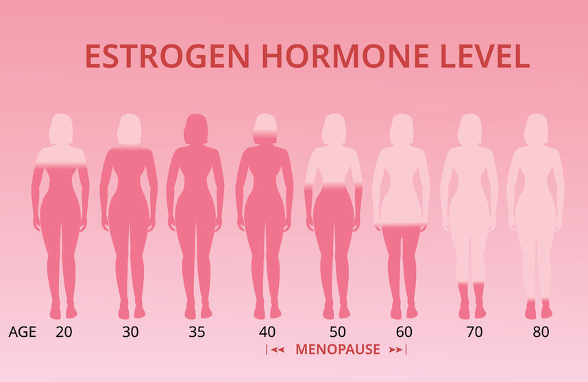#10—Why Low Estrogen Levels in Women Are Linked to an Increased Risk for Alzheimer’s Disease