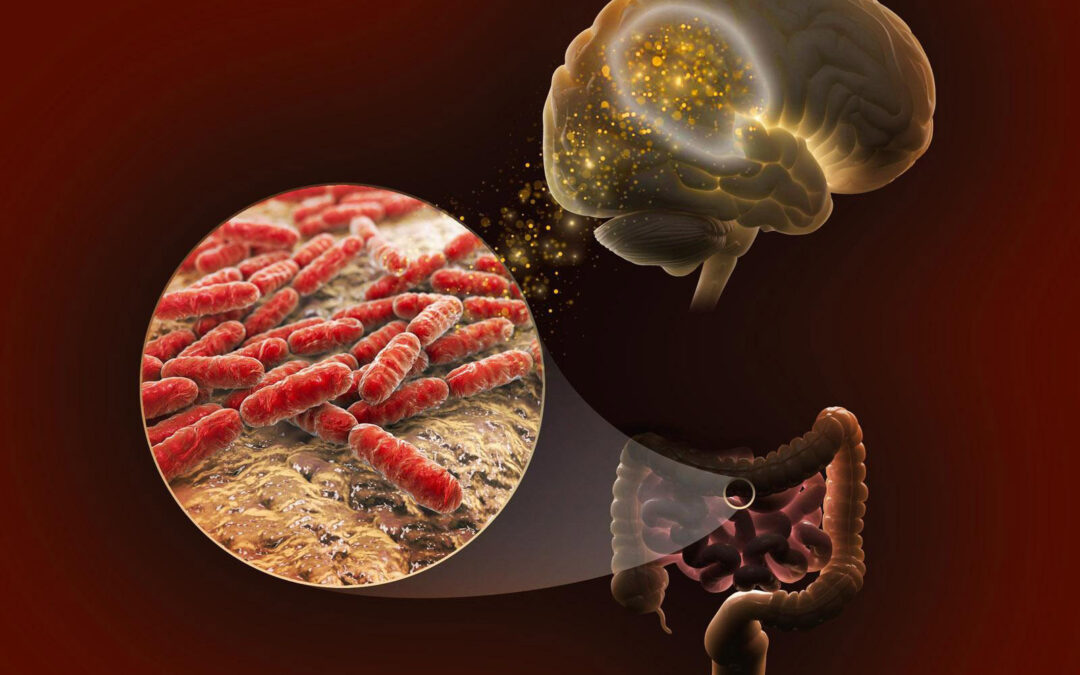 #9—Modifiers of the Gut-Brain Axis in the Risk for Dementia and Alzheimer’s Disease