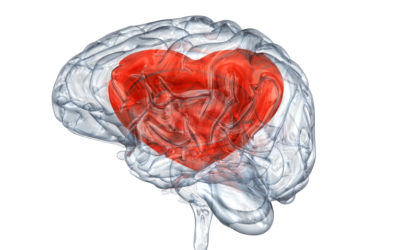 Polyphenols in the Protection Against Cardiovascular Disease and Dementia