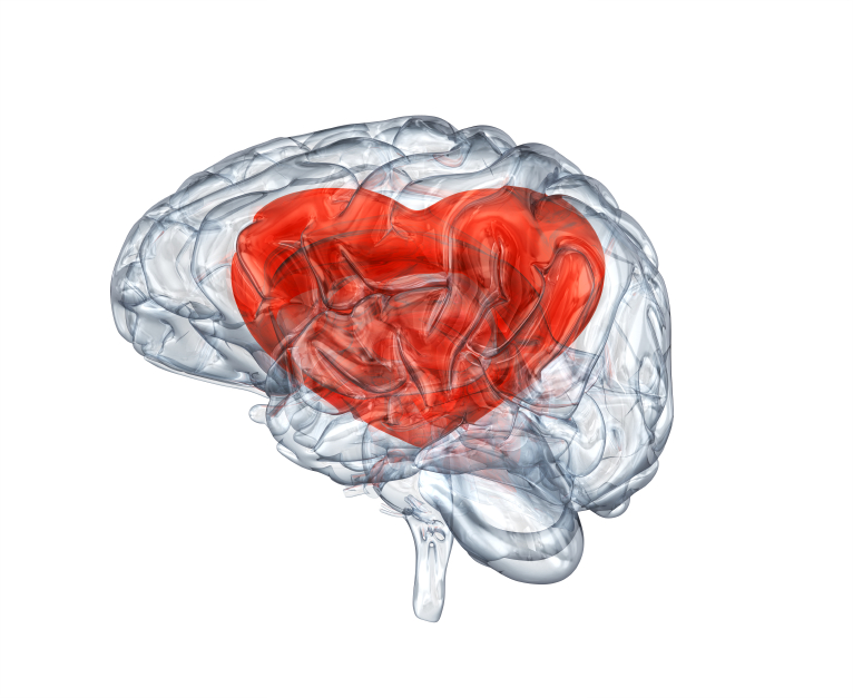 Polyphenols in the Protection Against Cardiovascular Disease and Dementia